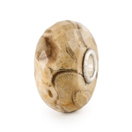 Bead Trollbeads Legno Fossile in argento
