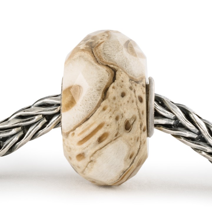 Bead Trollbeads Legno Fossile in argento