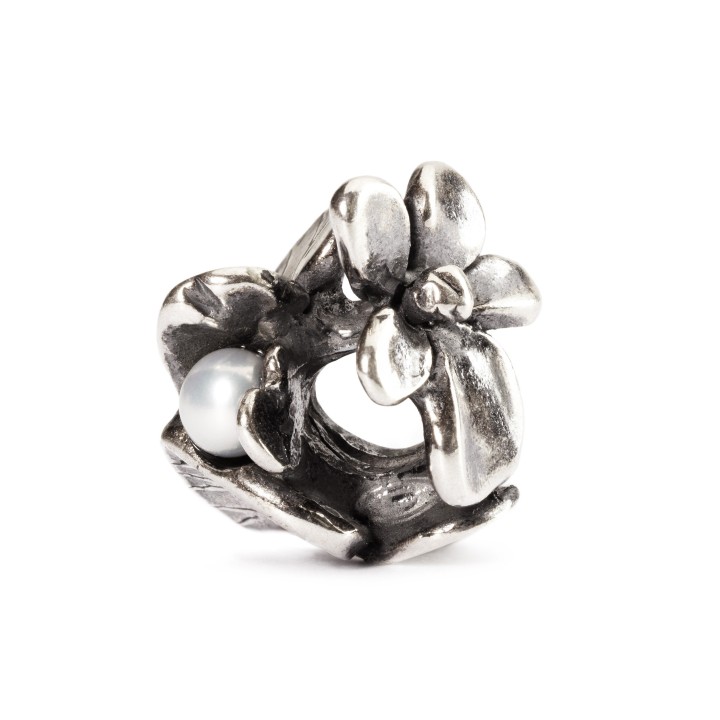 Bead Trollbeads Viola di Febbraio in argento TAGBE-00028 | RomanoGioielli