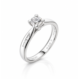 Anello solitario SALVINI Anversa - 81065760 | RomanoGioielli
